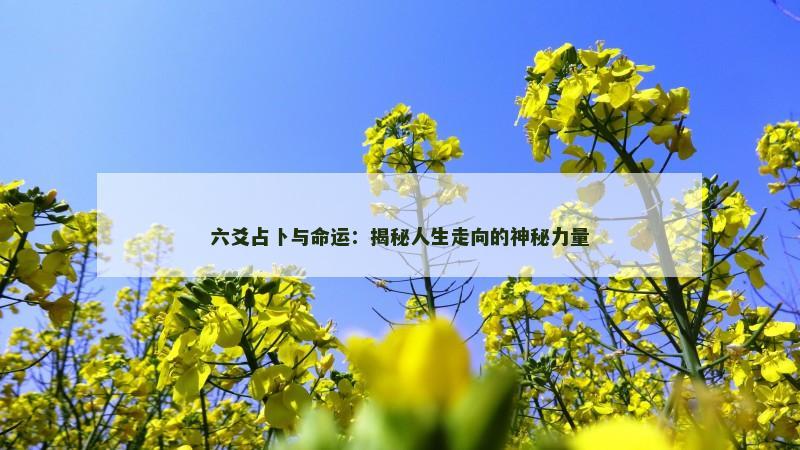六爻占卜与命运:揭秘人生走向的神秘力量 六爻占卜与命运:揭秘人生走向的神秘力量