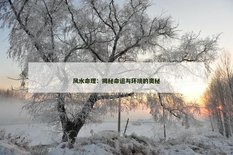 风水命理:揭秘命运与环境的奥秘 风水命理:揭秘命运与环境的奥秘