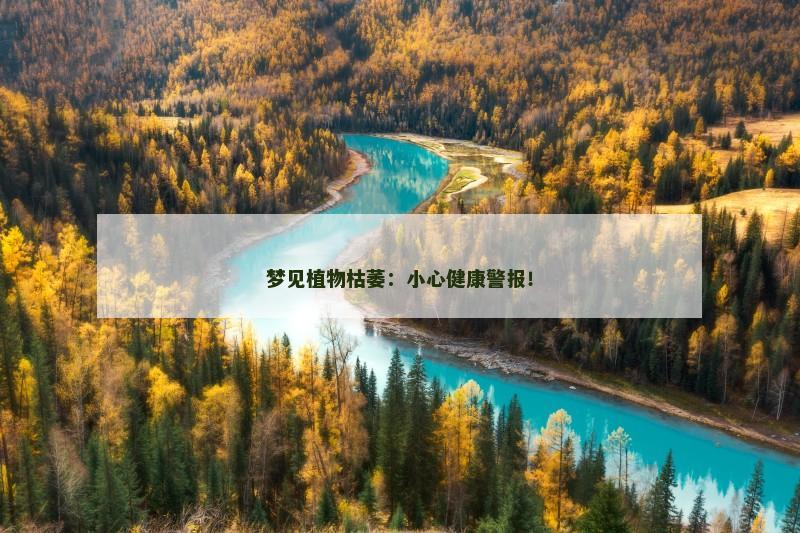 梦见植物枯萎:小心健康警报! 梦见植物枯萎:小心健康警报!