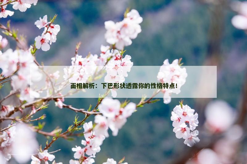 面相解析:下巴形状透露你的性格特点! 面相解析:下巴形状透露你的性格特点!