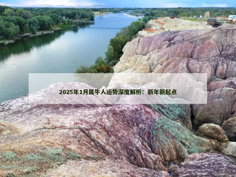 2025年1月属牛人运势深度解析:新年新起点 2025年1月属牛人运势深度解析:新年新起点