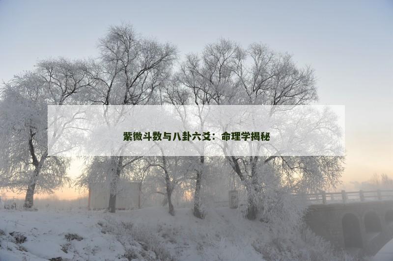 紫微斗数与八卦六爻:命理学揭秘 紫微斗数与八卦六爻:命理学揭秘