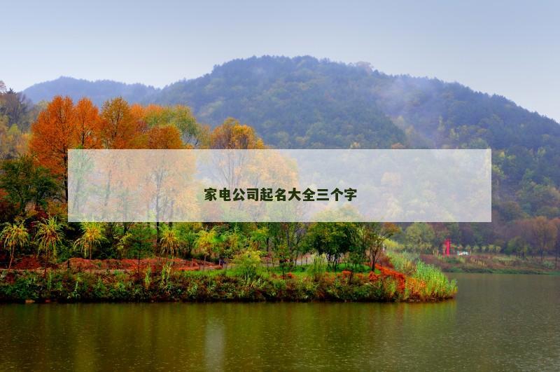 家电公司起名大全三个字