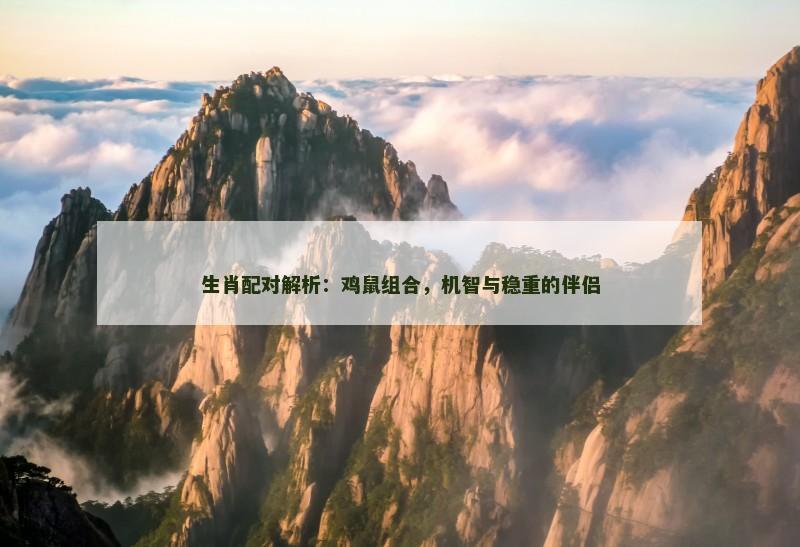 生肖配对解析:鸡鼠组合,机智与稳重的伴侣