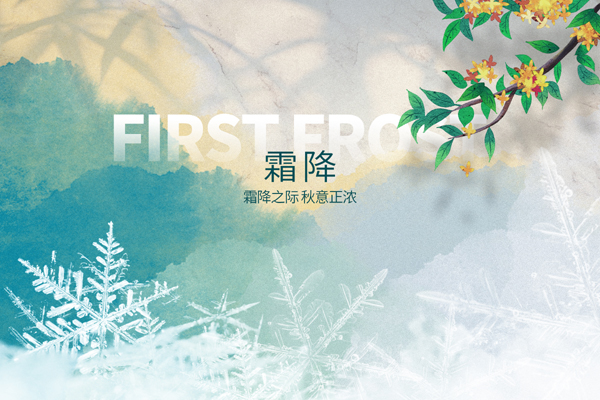1735725173184830.jpg 摄图网_402658326_霜降大气简约弥散雪花(非企业商用).jpg